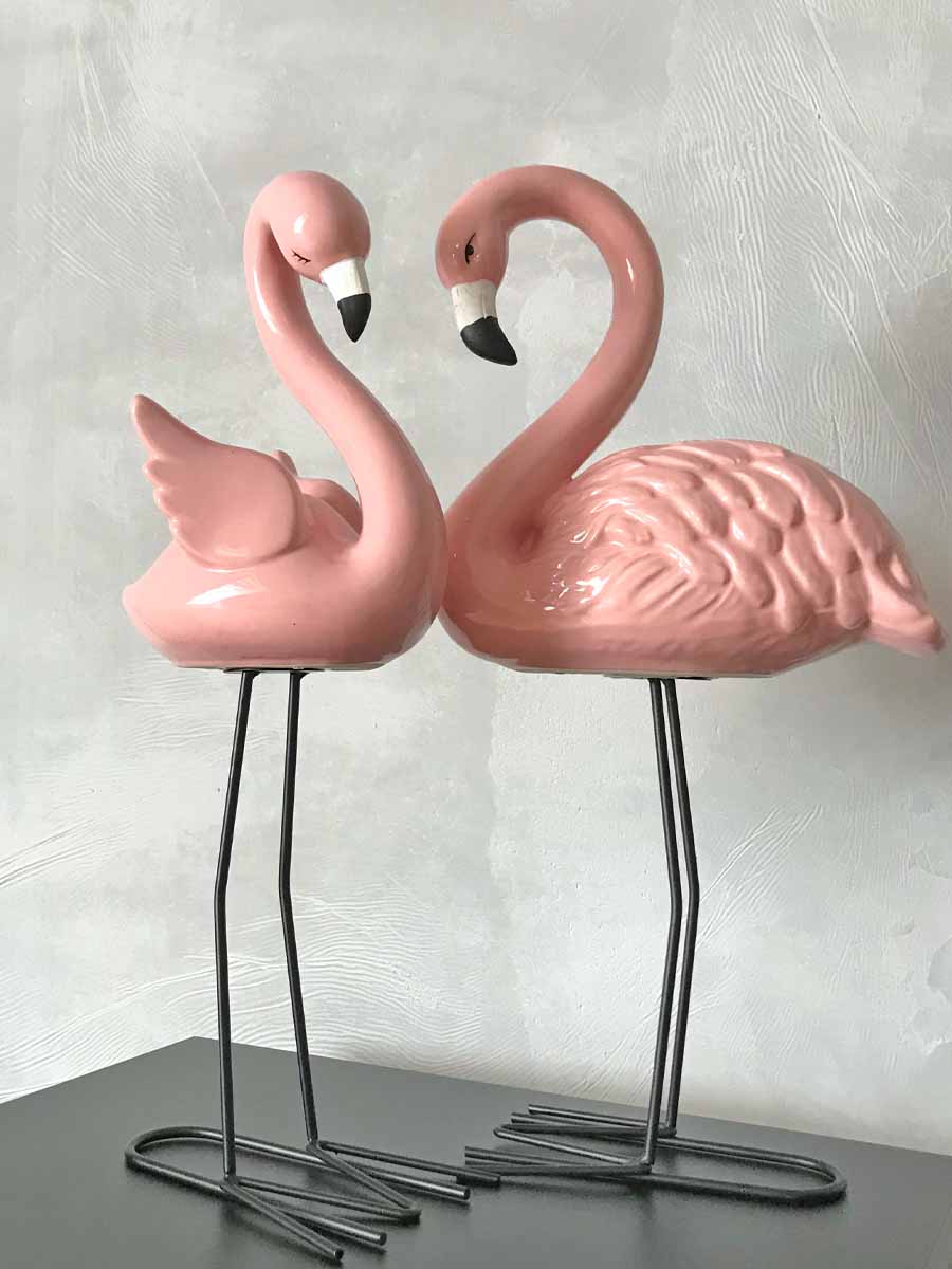 flamingo