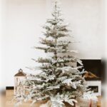 Novogodišnja jelka SNOWY SILVER FIR