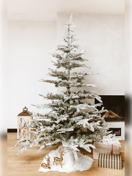 Novogodišnja jelka SNOWY SILVER FIR