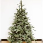 Novogodišnja jelka PREMIUM GREEN