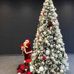 Snežna jelka SNOWY IMPERIAL PINE