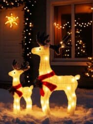 Novogodišnji Irvas - Slika 2