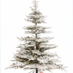 Novogodišnja jelka SNOWY SILVER FIR