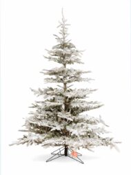 Novogodišnja jelka SNOWY SILVER FIR