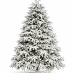 Novogodišnja jelka SNOWY PREMIUM SILVER FIR