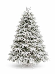 Novogodišnja jelka SNOWY PREMIUM SILVER FIR