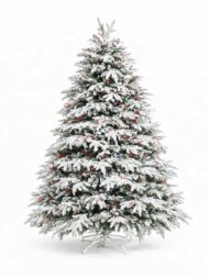 Novogodišnja jelka SNOWY PREMIUM SILVER FIR — izobraženie 2
