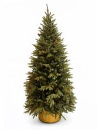 Novogodišnja jelka GLACIER GROVE