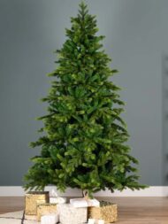 Everlands Galloway novogodišnja jelka - Image 3