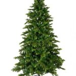 Everlands Galloway novogodišnja jelka