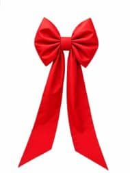 Velika MAŠNA PREMIUM