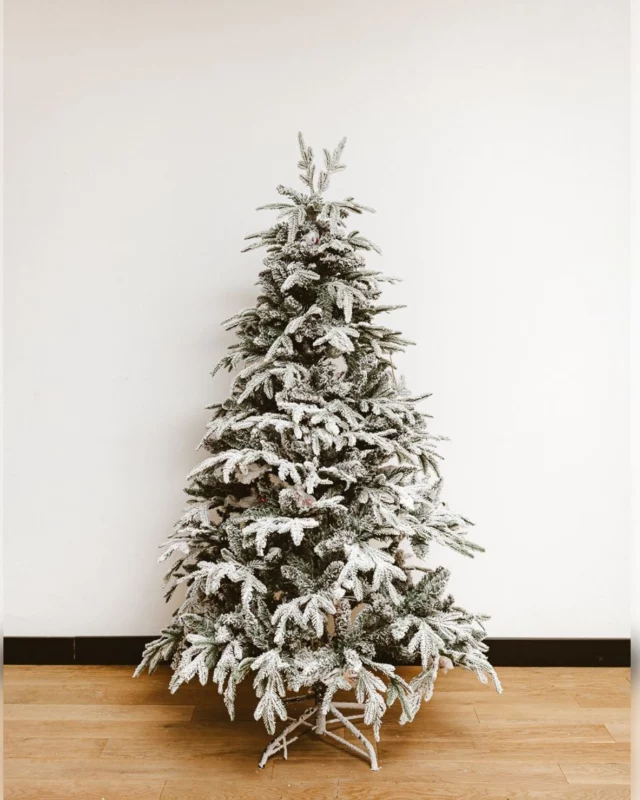 Savršena snežna jela zvana SNOWY PREMIUM SILVER FIR 

Dostupna u visinama:
1.8m, 19.999 rsd
2.1m, 23.999 rsd
2.4m, 29.999 rsd